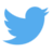 twitter icon